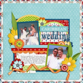 caribbean-wedding-copy.jpg