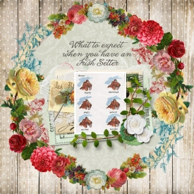 carinak-intheborders-layout001.jpg