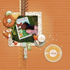 carinak-intothewoodland-layout002.jpg