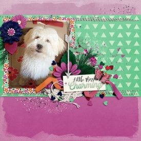carinak-myzodiacvirgo-layout001.jpg