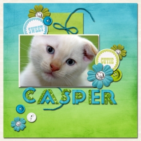 casper.jpg