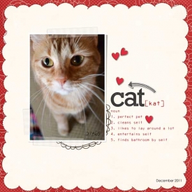 cat-definition-web.jpg