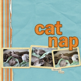 catnap_DU.jpg