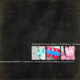 challenge_taylormade_savepic1.jpg