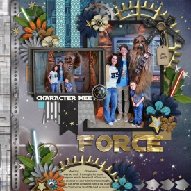 chewie2017web.jpg