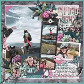 chilcopeak2021web.jpg