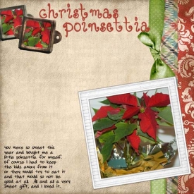 christmas_poinsettia_web.jpg
