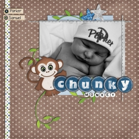 chunkymonkeyWEB2.jpg