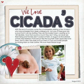 cicadasweb.jpg