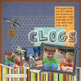 clogs.jpg