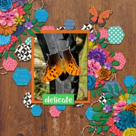 cmg_butterflyseason_bnp_bloomingblossoms700.jpg