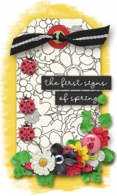 cmg_march_tag_ladybug_2.jpg
