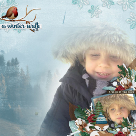 cmg_wendyp-winterwalk_tcot.jpg