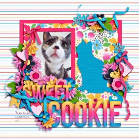 cookie-2017-cute.jpg