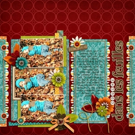 couch_-dans-les-feuilles2.jpg