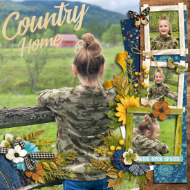 countryroads2020web.jpg