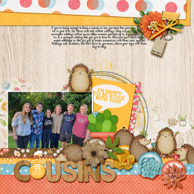 cousins-Web12.jpg