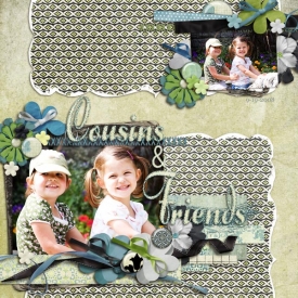 cousins-friendsweb.jpg