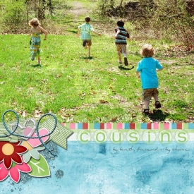 cousins-web-ssd.jpg