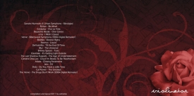 cover_compilation_violinator_small.jpg