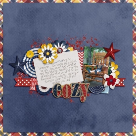 cozy-copy1.jpg