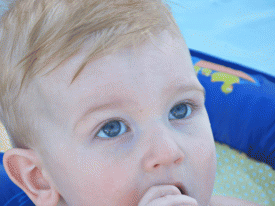 creative-crop.gif