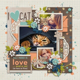 cs-crazycatlady.jpg