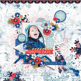 cs-fortherecordwinter.jpg