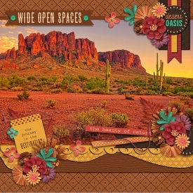 cs-ourtrip-inthedesert.jpg
