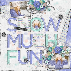 cs-snowfun.jpg