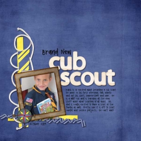 cub-scout-wr.jpg