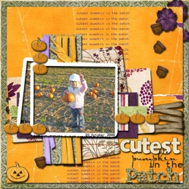 cutest-little-pumpkin.jpg