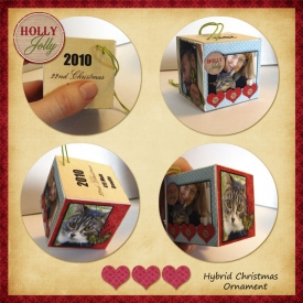 cwalshOrnament2010.jpg
