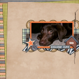 doggonecute.jpg