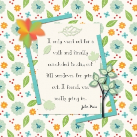 dsd-dSI-recipe-ch.jpg