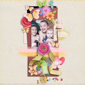 dsd-scraplift-sheri.jpg