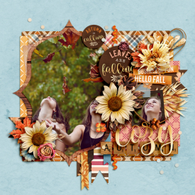 dsi-fallmemories-DSD-kiana.jpg