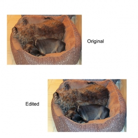 edited-photo1.jpg