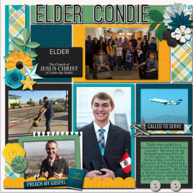 elder.jpg