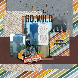 elephantboxweb.jpg