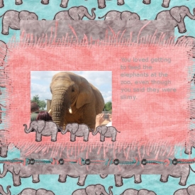 elephants.jpeg