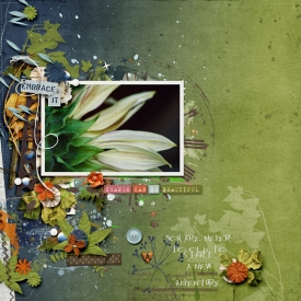 embraceit-700.jpg