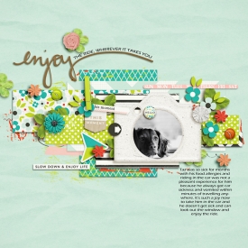 enjoytheride-copy.jpg