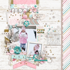 eve-20090302-winter-wonderland-web.jpg