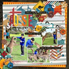 eve-20130825-feed-the-kangaroo-web.jpg