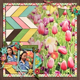 eve-20131008-may-flowers-web.jpg
