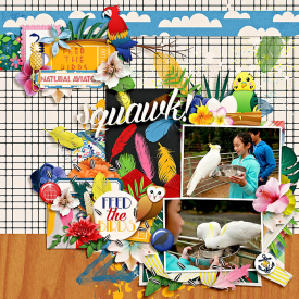 eve-20140706-feed-the-birds-web.jpg