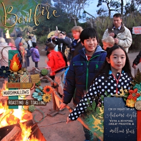 eve-20140707-bonfire-web.jpg