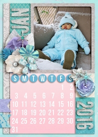 eve-2016-jan-calendar-web.jpg