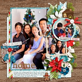eve-20161203-home-at-christmas-web.jpg